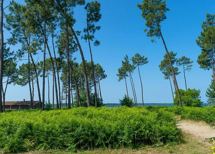 Les Du T4 Privilege By Interhome * Parentis-en-Born